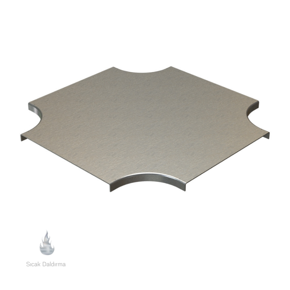 EAE 3000482 CTE 150 AD Dörtlü Bağlantı Modülü Kapağı (1,2mm) R50